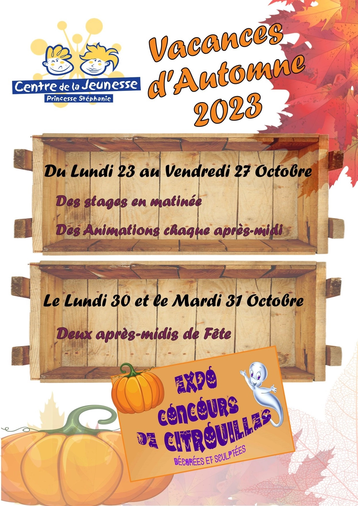 Centre de la Jeunesse Automne 3