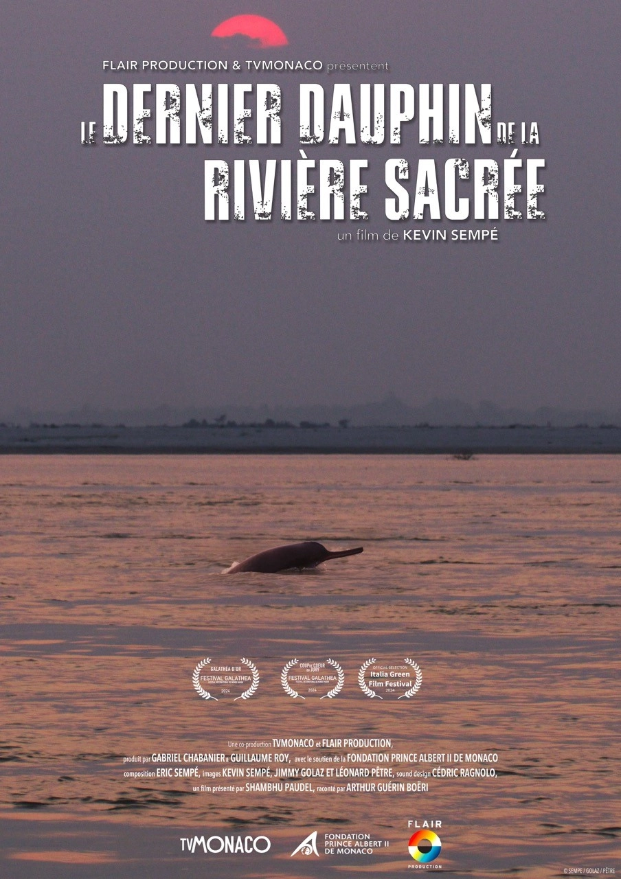 Le dernier dauphin de la rivière sacrée -2024