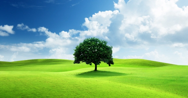 Week-end Nature