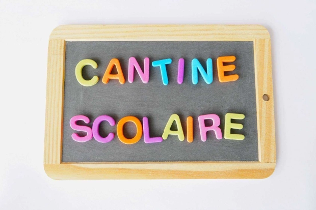 Demande une allocation cantine –  Ouverture de la démarche en ligne